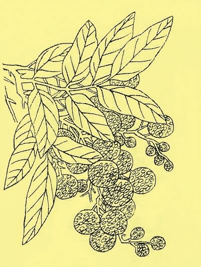 0021976ebb3c1c1d4e6427.jpg